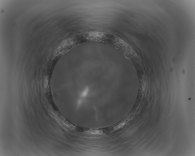 X0000087530711200704271207