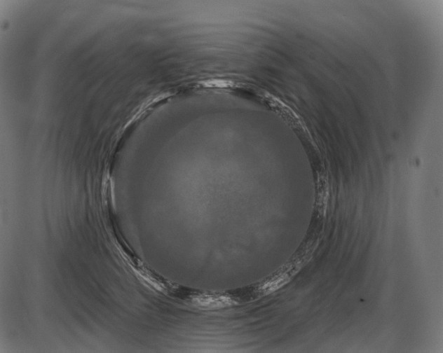 X0000087530712200704271207
