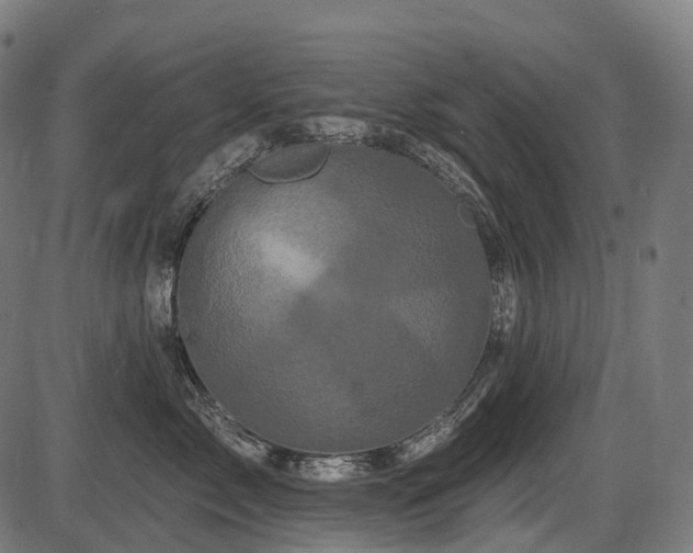 X0000087530717200704271207