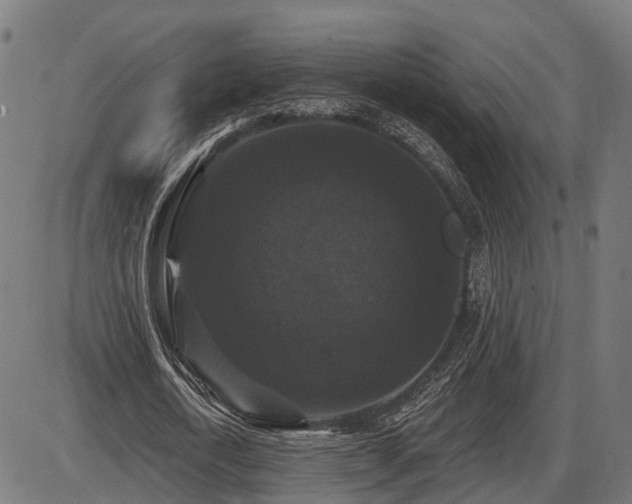 X0000087530722200704271206
