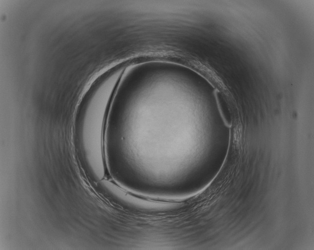 X0000087530724200704271206