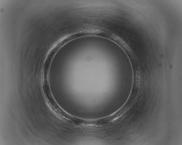X0000087530726200704271206