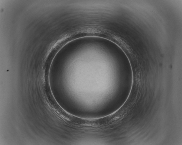 X0000087530727200704271206