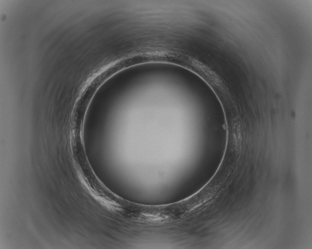 X0000087530728200704271206