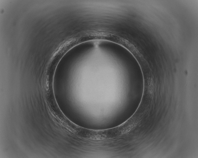 X0000087530731200704271206