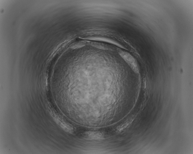 X0000087530733200704271206