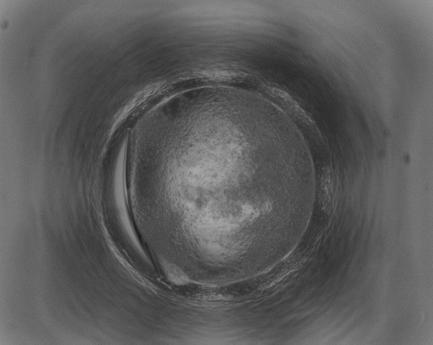 X0000087530734200704271206