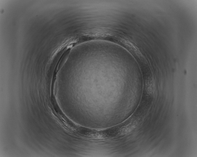 X0000087530735200704271206