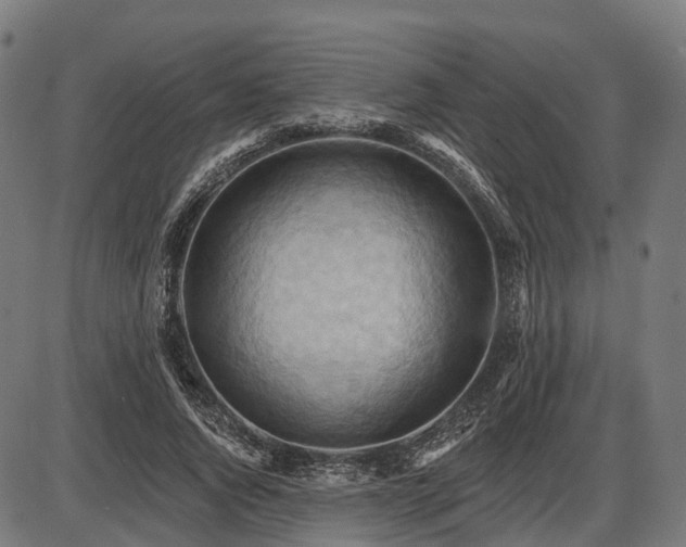 X0000087530736200704271206