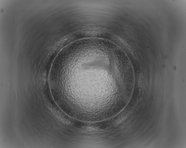 X0000087530737200704271206