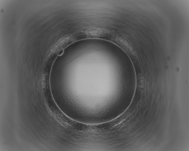 X0000087530738200704271206