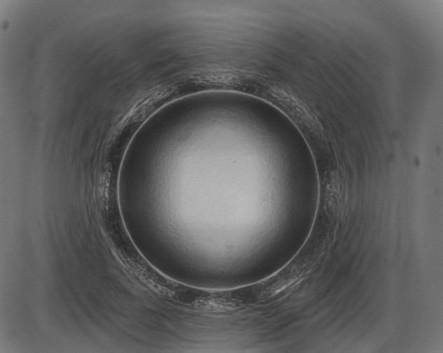 X0000087530739200704271206