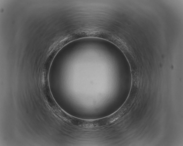 X0000087530740200704271206