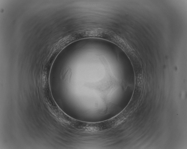 X0000087530741200704271206