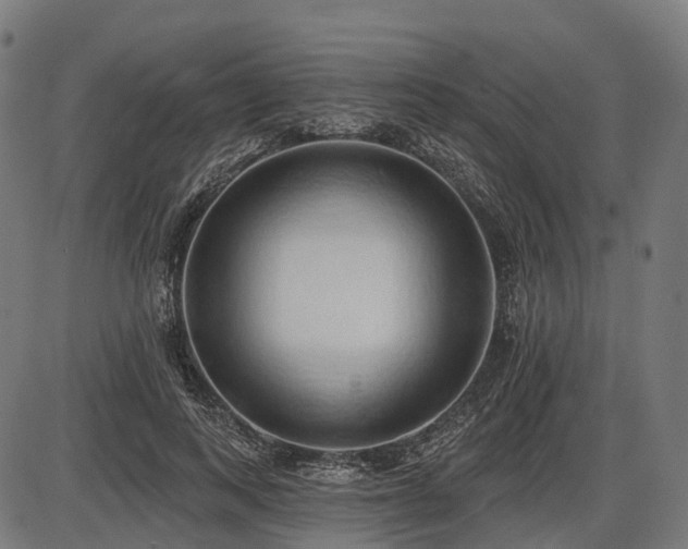 X0000087530743200704271206