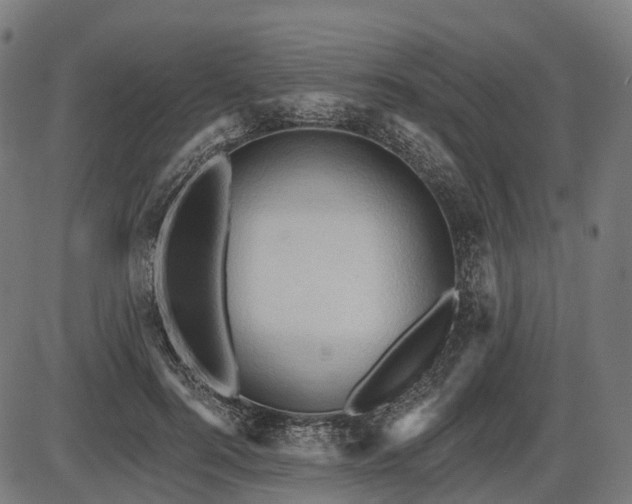 X0000087530744200704271206