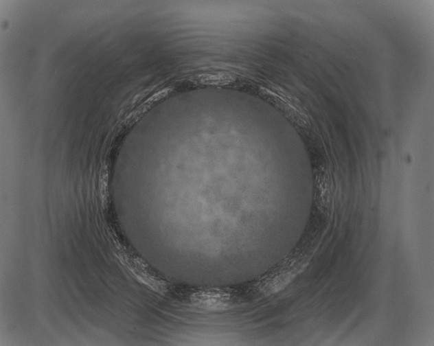 X0000087530745200704271206