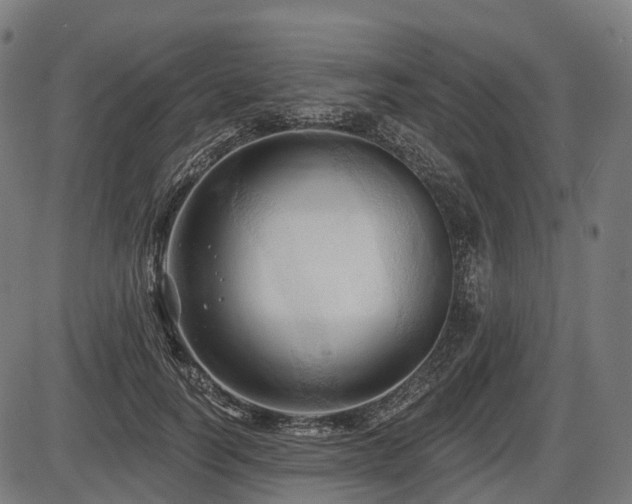 X0000087530746200704271206