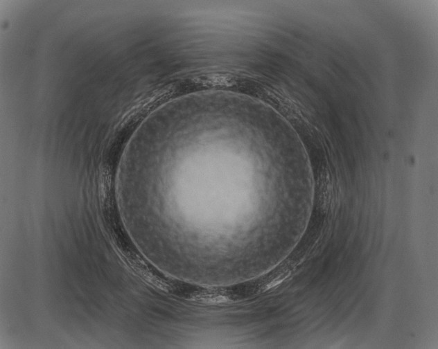 X0000087530747200704271206