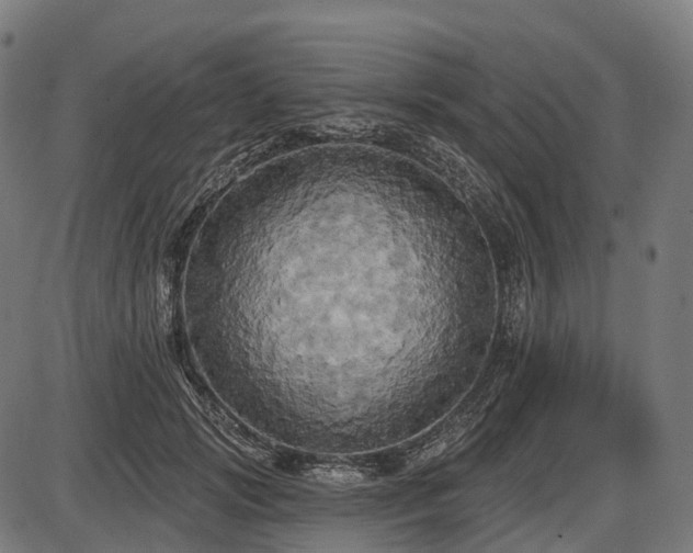 X0000087530749200704271206