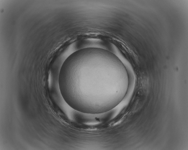 X0000087530750200704271206