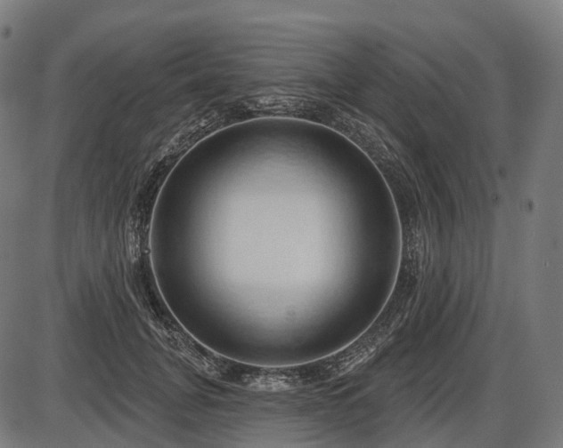 X0000087530751200704271206