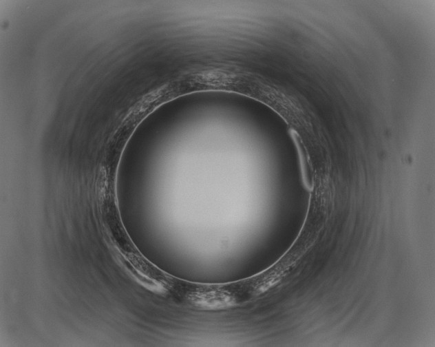 X0000087530752200704271206