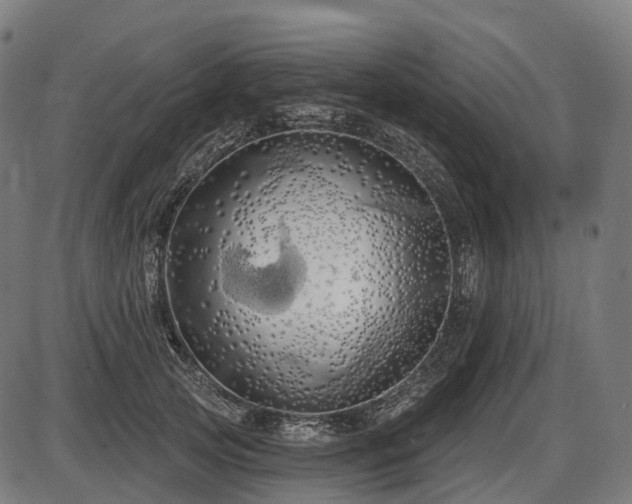 X0000087530753200704271206