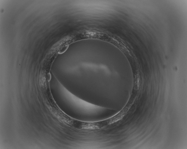 X0000087530754200704271206