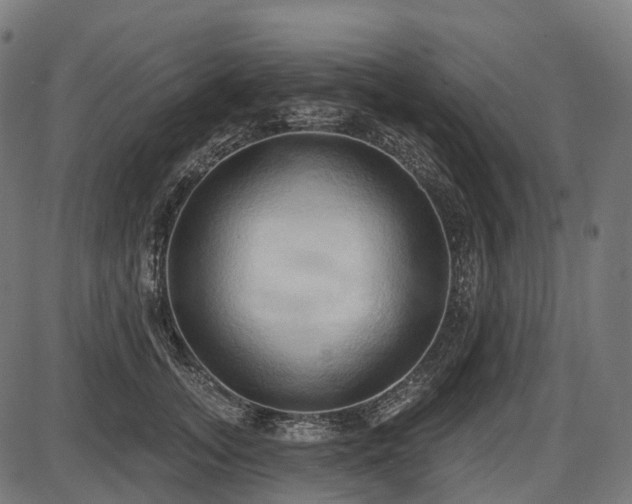 X0000087530755200704271206
