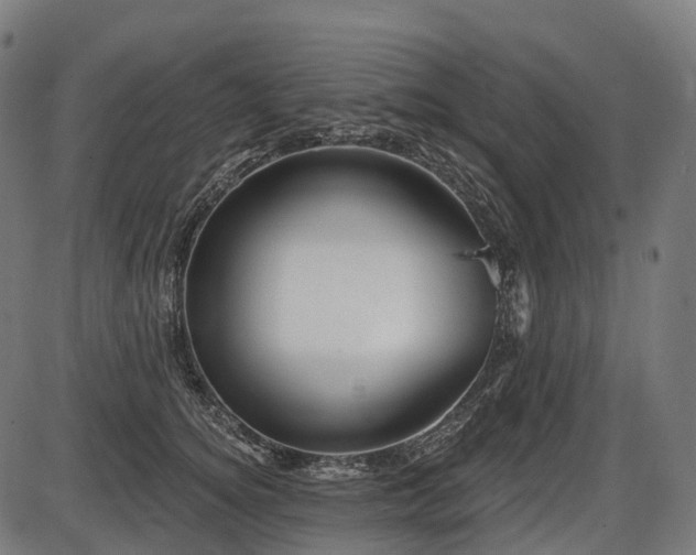 X0000087530756200704271207