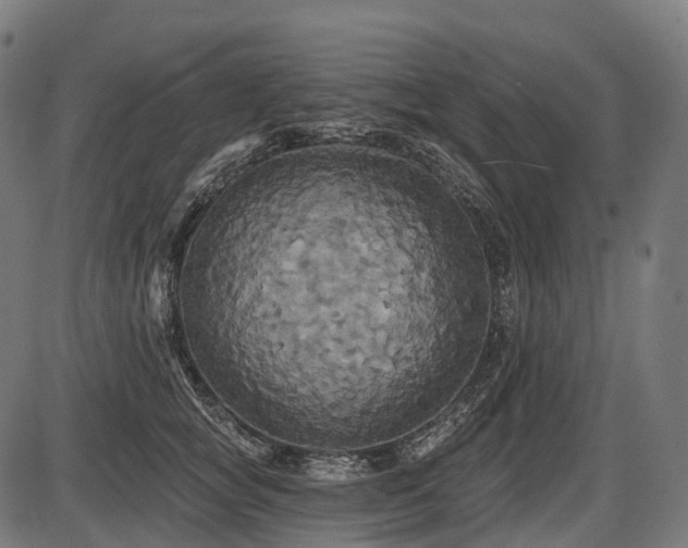 X0000087530757200704271207
