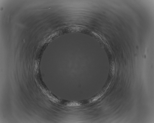 X0000087530759200704271207