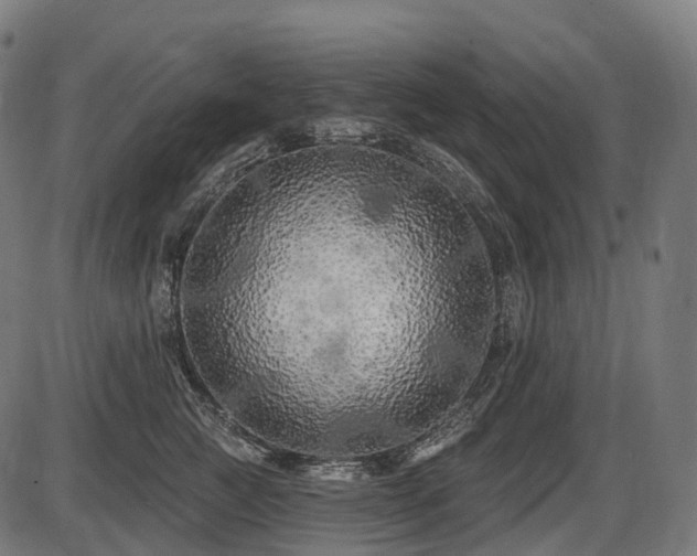 X0000087530761200704271207