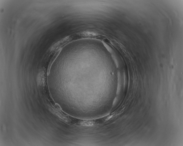 X0000087530762200704271207