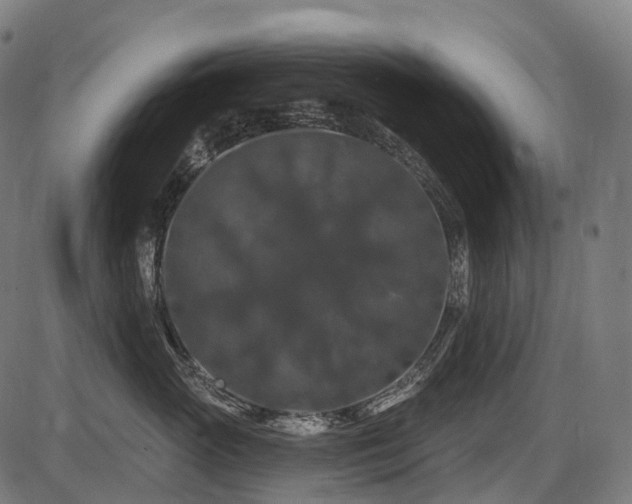 X0000087530765200704271207