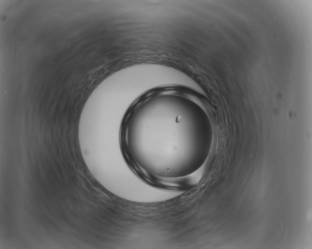 X0000087530768200704271207