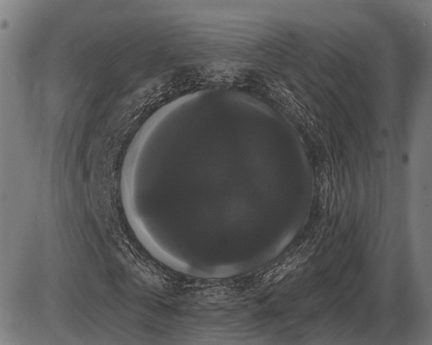 X0000087530769200704271206