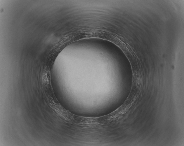X0000087530770200704271206