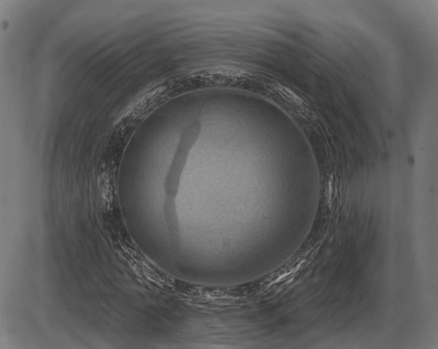 X0000087530774200704271206