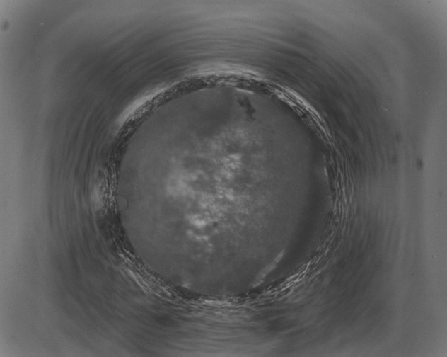 X0000087530775200704271206