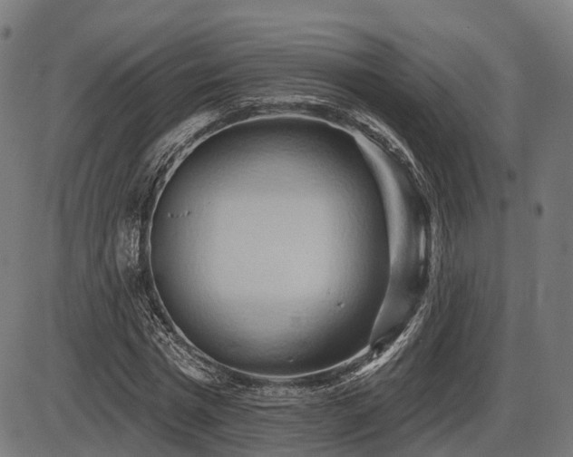 X0000087530777200704271206