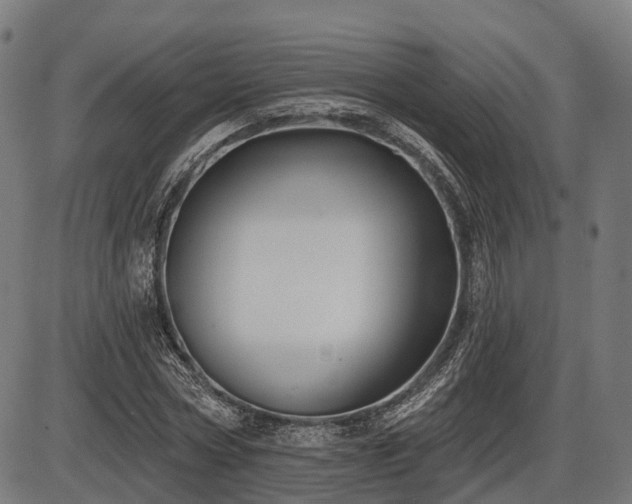X0000087530778200704271206