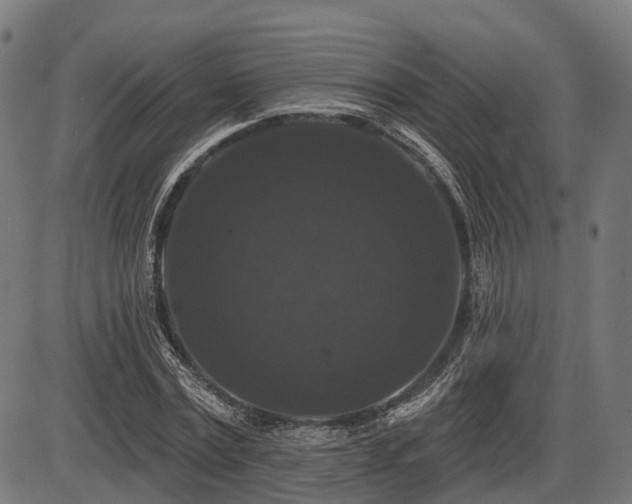 X0000087530779200704271206