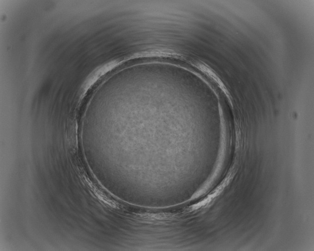 X0000087530781200704271206