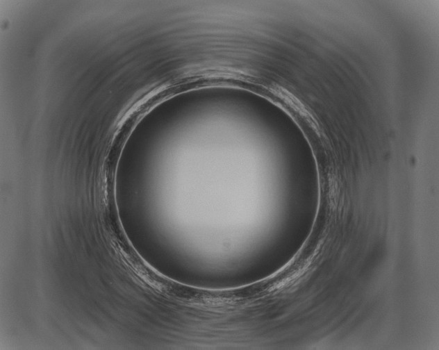 X0000087530782200704271206