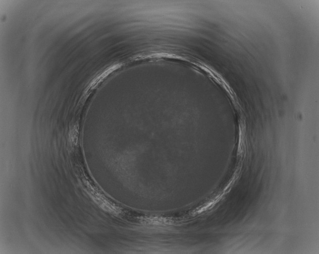 X0000087530785200704271206