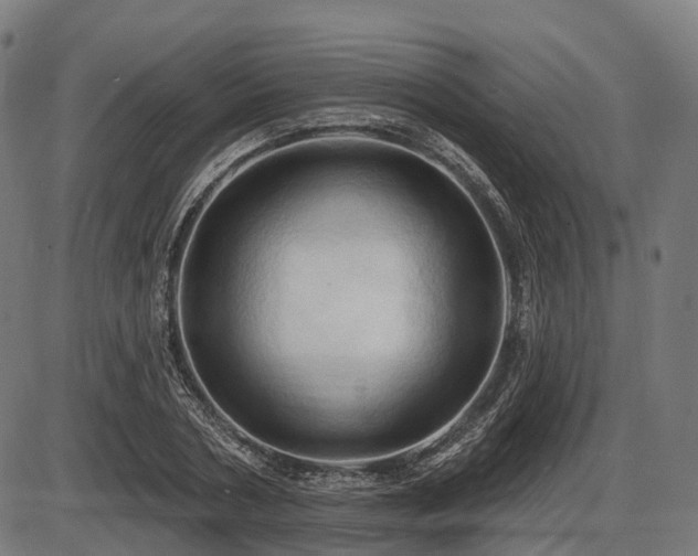 X0000087530786200704271206