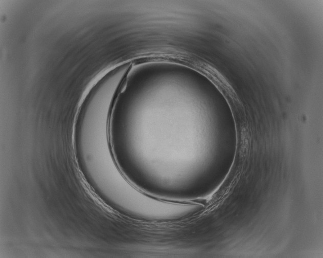 X0000087530788200704271206