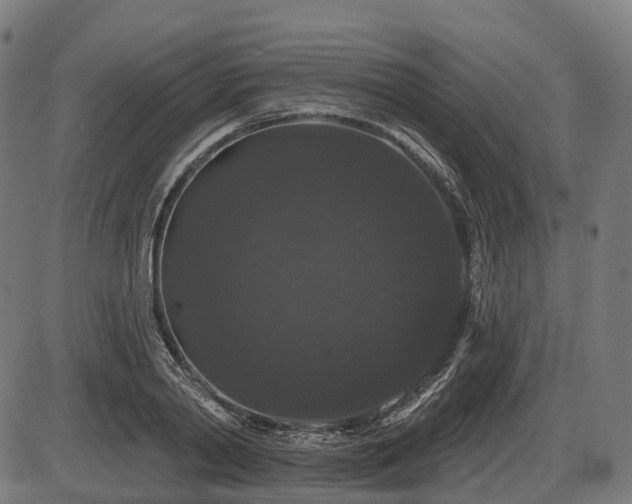 X0000087530790200704271206